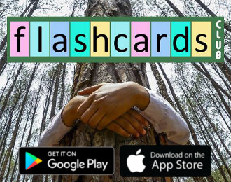 Flashcards Club app